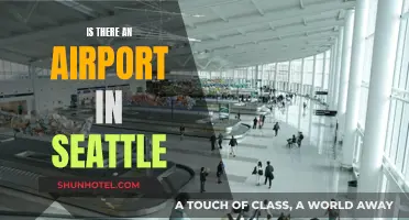 Seattle's Airport: An Essential Travel Hub