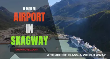 Skagway's Airport: Does It Exist?