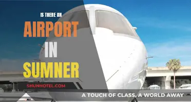 Sumner's Airport: Does It Exist?