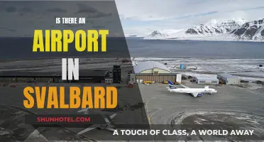 Airport Accessibility in Remote Svalbard Explored