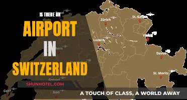 Switzerland's Airports: Where and How Many?