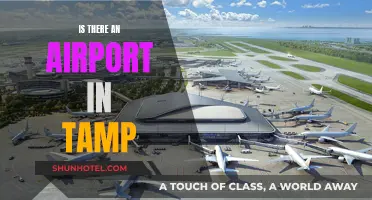 Tampa's Airport: An Essential Travel Hub for Visitors