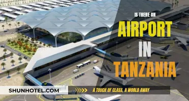 Airport Accessibility in Tanzania: Where to Fly In and Out