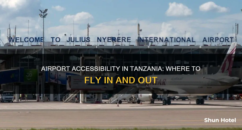 is there an airport in tanzania