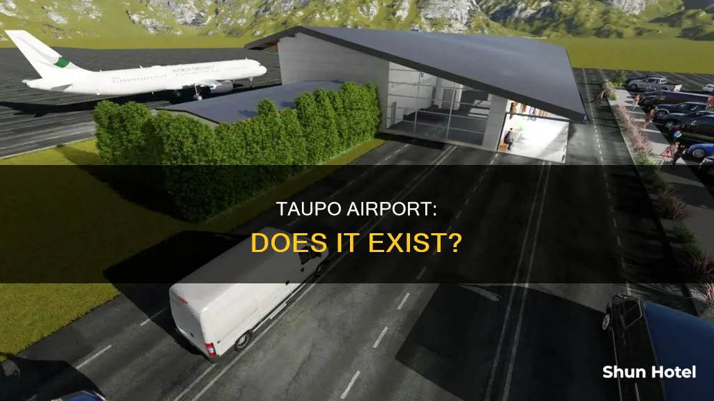 is there an airport in taupo