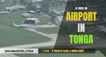 Tonga's Airport: Does It Exist?