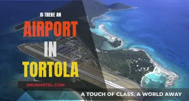 Tortola's Airport: What Visitors Need to Know
