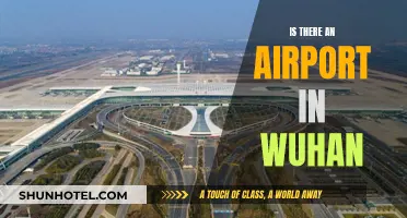 Wuhan's Airport: A Travel Hub for Central China