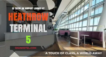 Exploring Heathrow: Unveiling the Luxuries of Terminal 5's Airport Lounge