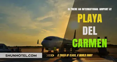 Does Playa del Carmen Have an International Airport? Find Out Here