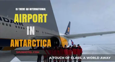 Exploring Antarctica's Aviation: Does an International Airport Exist There?
