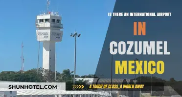Exploring Cozumel: Does This Mexican Island Have an International Airport?