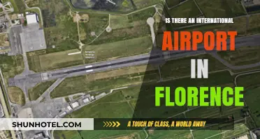 Exploring Florence: Does the City Host an International Airport?