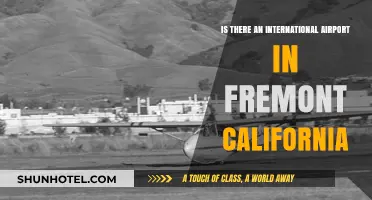 Does Fremont, California Have an International Airport? Facts Revealed