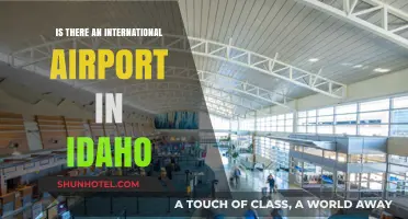 Exploring Idaho's Air Travel: Does the State Have an International Airport?