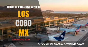 Exploring Los Cobos, Mexico: Does It Have an International Airport?