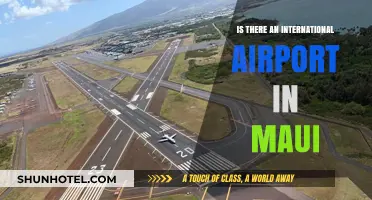 Exploring Maui's Air Travel: Does the Island Host an International Airport?