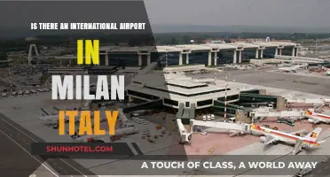 Exploring Milan's International Airport: A Comprehensive Travel Guide