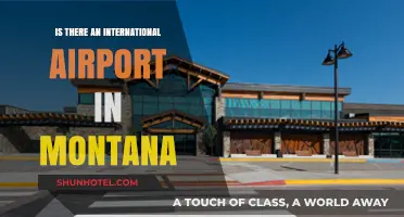 Exploring Montana's Air Travel: Does the State Have an International Airport?