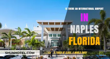 Exploring Naples, Florida: Does It Have an International Airport?