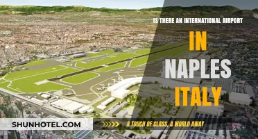 Exploring Naples: Does Italy's Southern Gem Have an International Airport?