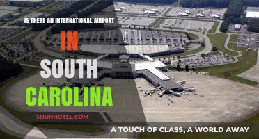 Exploring South Carolina: Does the State Have an International Airport?