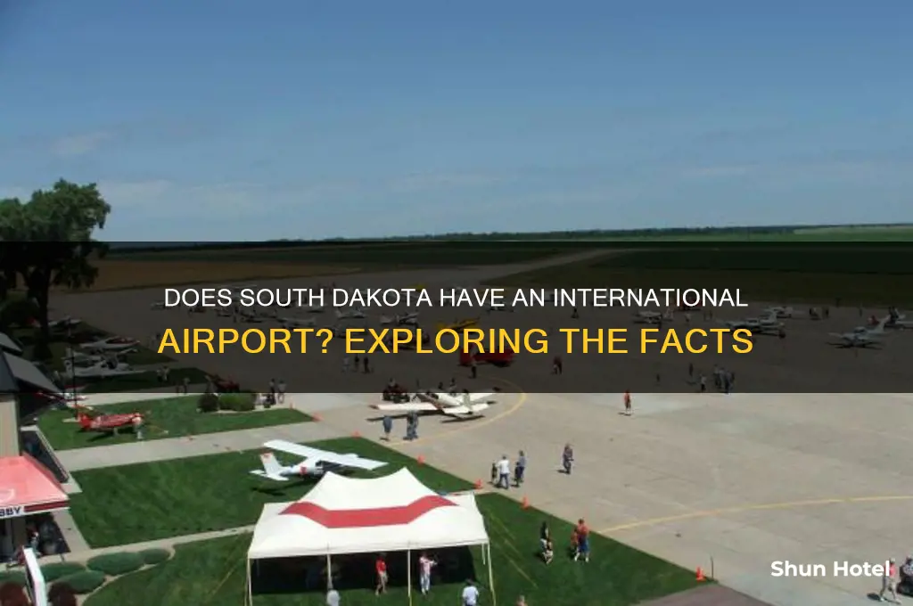 is there an international airport in south dakota