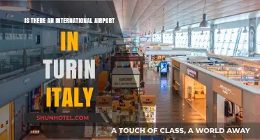 Exploring Turin: Does Italy's Charming City Host an International Airport?