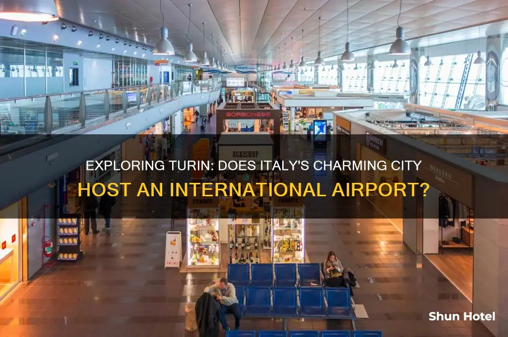is there an international airport in turin italy