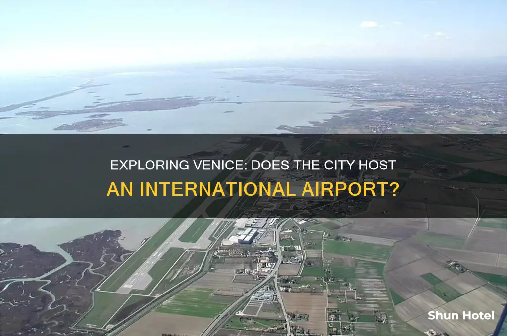 is there an international airport in venice