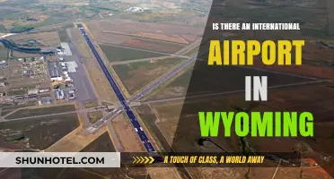 Exploring Wyoming's Air Travel: Does the State Have an International Airport?