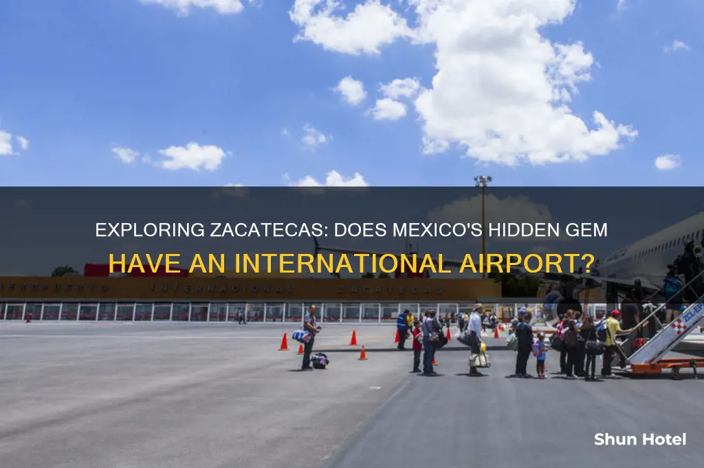 is there an international airport in zacatecas mexico