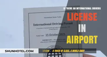International Driver's License at Airports: What Travelers Need to Know