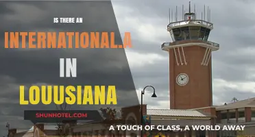 Exploring Louisiana's International Airport: Does the State Have One?