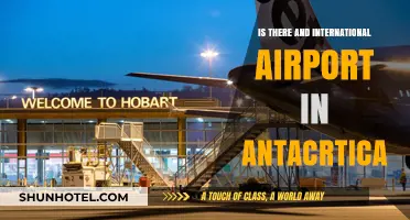 Exploring Antarctica's Aviation: Does an International Airport Exist There?