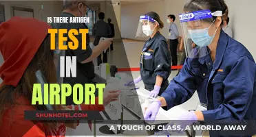Antigen Testing: Airport Availability and Accessibility