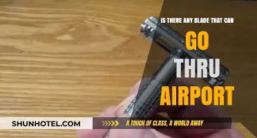 Airport Security: Can Any Blade Get Through?