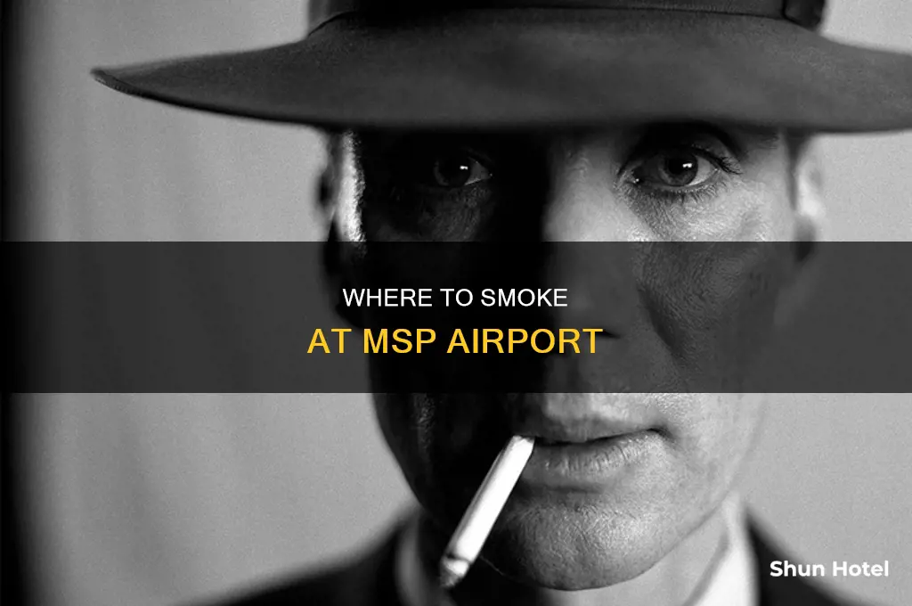 is there anywhere you can go smoke at msp airport