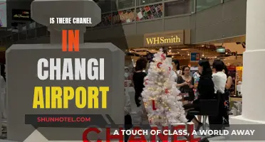 Chanel Shopping at Changi Airport: Where to Find Luxury