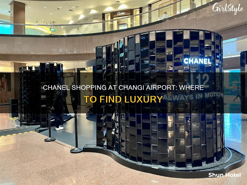 is there chanel in changi airport