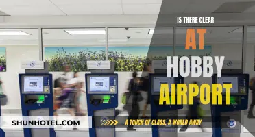 Hobby Airport: Clear Skies or Turbulence for Hobbyists?