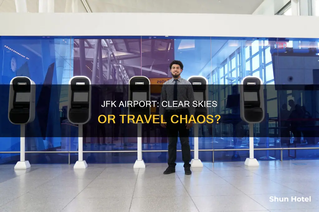 is there clear at jfk airport