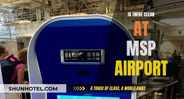 Clear Skies at MSP: What's the Weather Like?