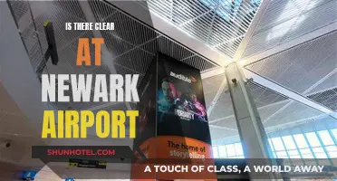 Clear Skies or Turbulence? Newark Airport's Weather Woes