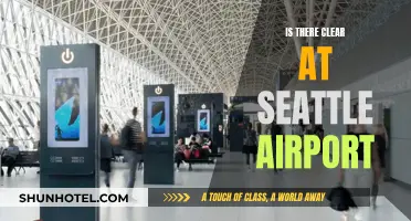 Clear Skies or Cloudy Doldrums at Seattle Airport?