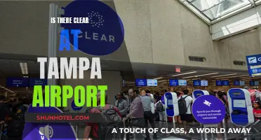 Clear Skies at Tampa Airport: What's the Deal?