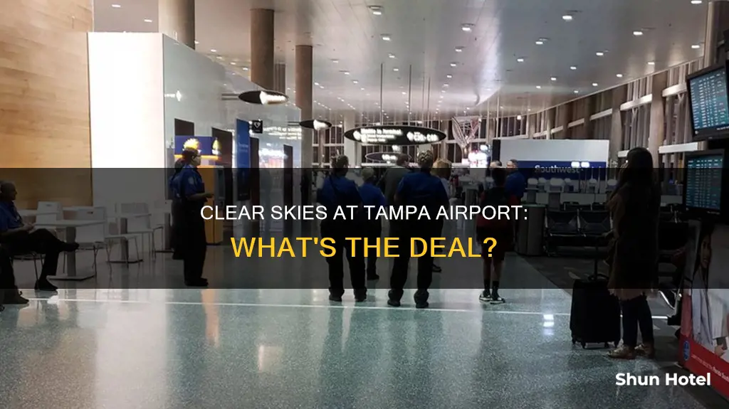is there clear at tampa airport