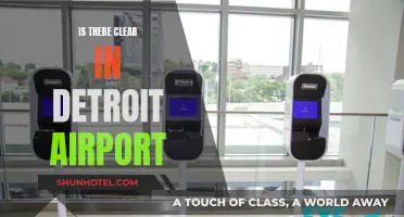 Detroit Airport: Clear Skies or Turbulence?