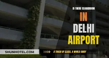 Cloakrooms: Delhi Airport's Best-Kept Secret for Travelers