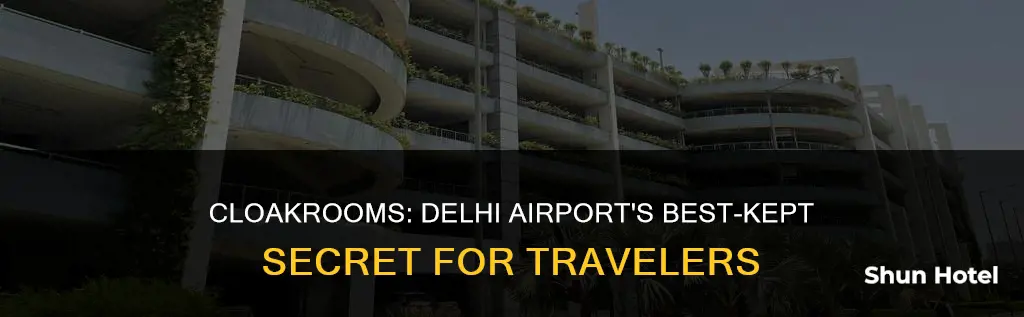is there cloakroom in delhi airport